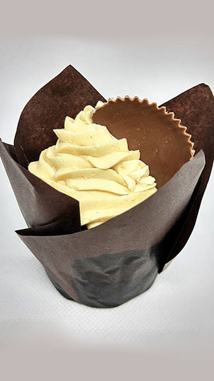 Chocolate Peanut Butter